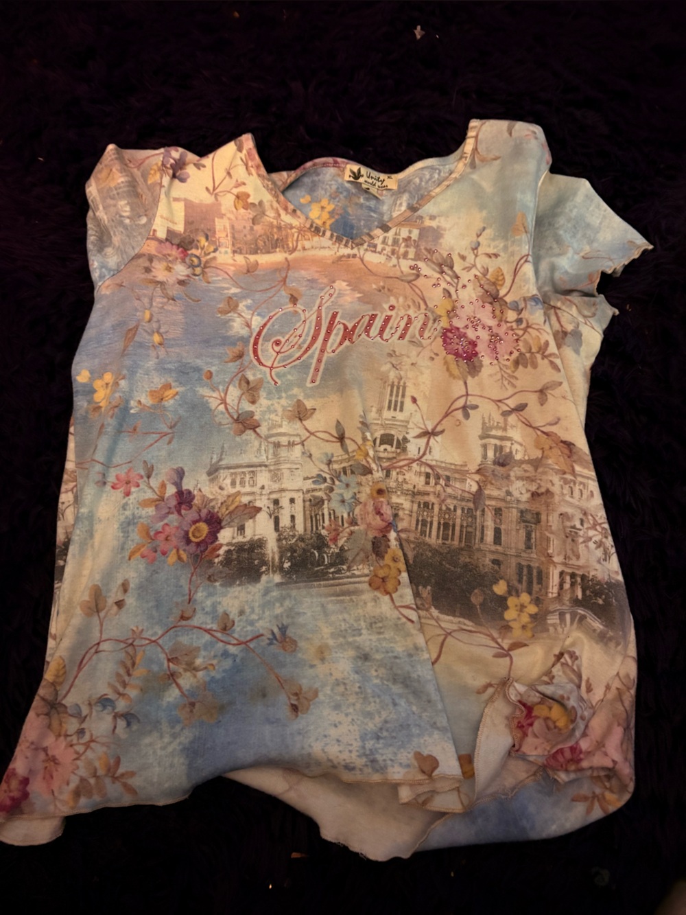 Unity World Wear Pastel Blue Floral Scenic Tee with Cream Accents